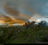 Ocean International - Kalgoorlie Accommodation