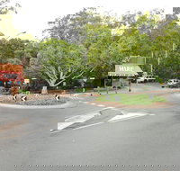 Mantra French Quarter Noosa - Kalgoorlie Accommodation