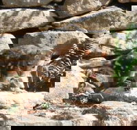 Jenolan Caves House - Kalgoorlie Accommodation