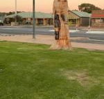Lake Albert Motel - Kalgoorlie Accommodation