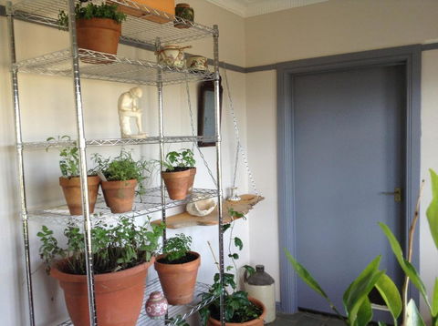 Springmead B & B - Kalgoorlie Accommodation 1