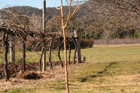The Farmhouse At Blue Wren Wines - Kalgoorlie Accommodation 3