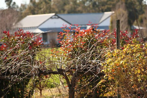 The Farmhouse At Blue Wren Wines - Kalgoorlie Accommodation 2