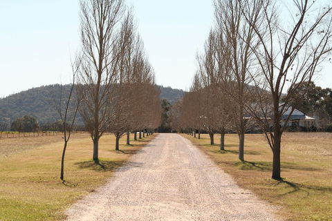The Farmhouse At Blue Wren Wines - Kalgoorlie Accommodation 4