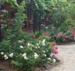 Maldons Eaglehawk Motel - Kalgoorlie Accommodation