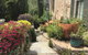 The Olde Devonshire House - thumb 7