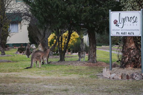 Lynrose Place - Kalgoorlie Accommodation 7