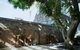 The Village Surry Hills - thumb 3