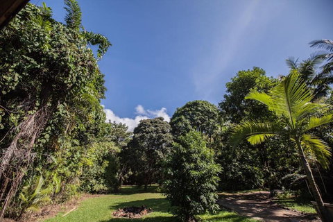 Cape Tribulation Holiday House - Kalgoorlie Accommodation 2