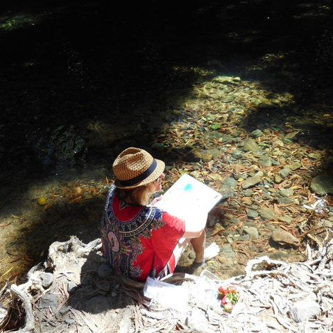 Cape Tribulation Holiday House - Kalgoorlie Accommodation 5