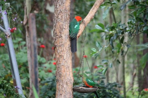 Twilight Grove Farm - Kalgoorlie Accommodation 3