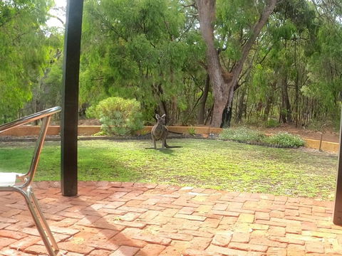 Yallingup Pet Friendly Bush Retreat - Kalgoorlie Accommodation 5