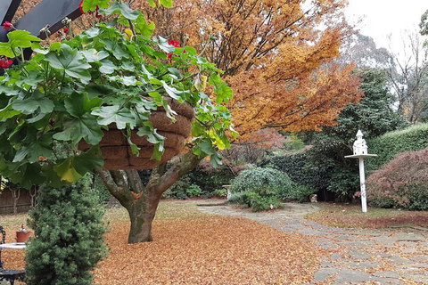 Villa DAmour - Kalgoorlie Accommodation 2