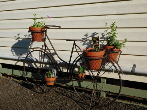 Villa Holiday Park - Kalgoorlie Accommodation 4