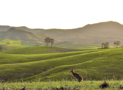 Ketchup's Bank Glamping - Kalgoorlie Accommodation 0