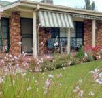 Butterfly Cottage - Kalgoorlie Accommodation