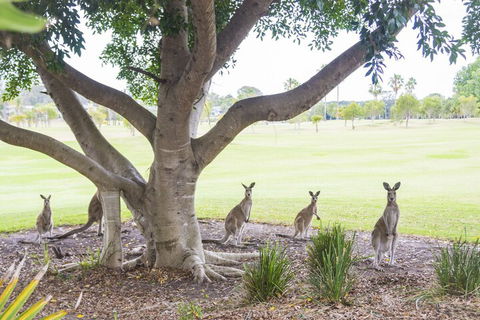 Daybreak On The Greens - Kalgoorlie Accommodation 1