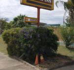 Golden West Motor Inn - Kalgoorlie Accommodation