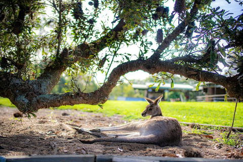 Waterfall Springs Retreat And Wildlife Sanctuary - Kalgoorlie Accommodation 5