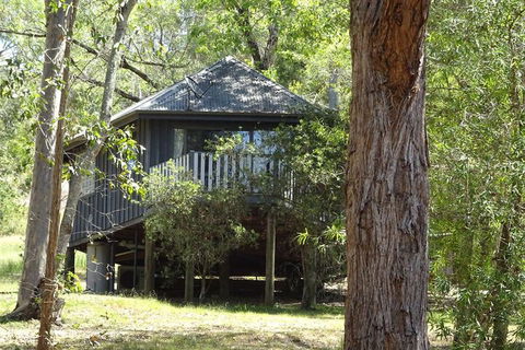 Barrington Tops Nest - Kalgoorlie Accommodation 2