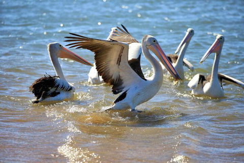 Alva Beach Tourist Park - Kalgoorlie Accommodation 4