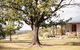Audrey Wilkinson Vineyard - thumb 2
