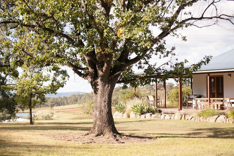 Audrey Wilkinson Vineyard - Kalgoorlie Accommodation 2
