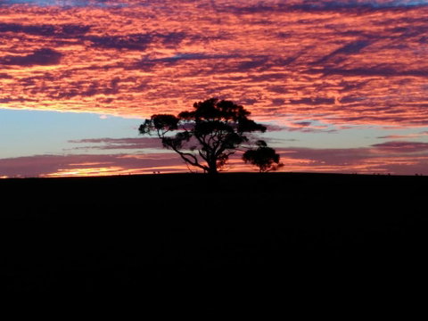 Heartland Hideaway - Kalgoorlie Accommodation 3