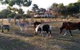 Heartland Hideaway - thumb 0