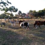 Heartland Hideaway - Kalgoorlie Accommodation 0