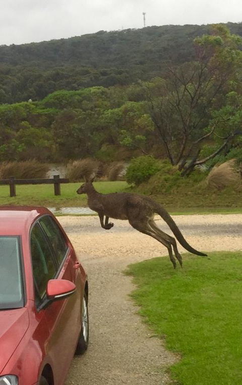A River Bed Cottage - Kalgoorlie Accommodation 1
