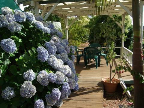 Nannup Riverview Cottage - Kalgoorlie Accommodation 3