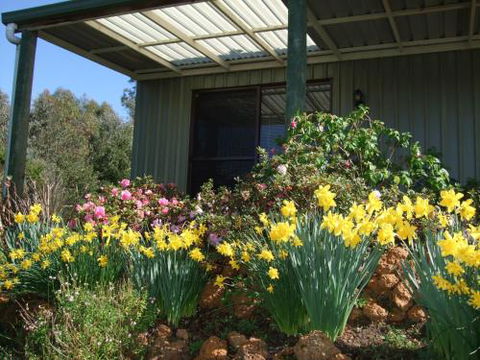 Nannup Riverview Cottage - Kalgoorlie Accommodation 0