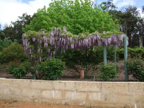 Nannup Riverview Cottage - Kalgoorlie Accommodation 5