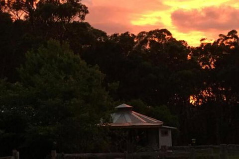 Ionaforest Yurt & Shepherds Hut - Kalgoorlie Accommodation 4