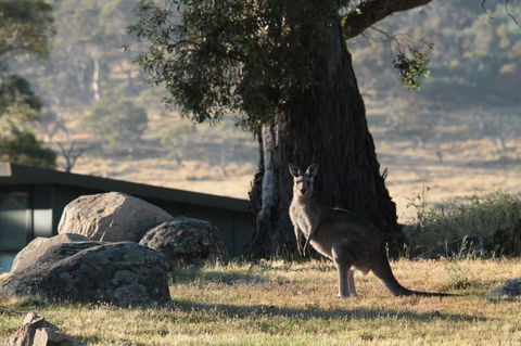 Ecocrackenback 13 'Sustainable Chalet Close To The Slopes.' - Kalgoorlie Accommodation 1