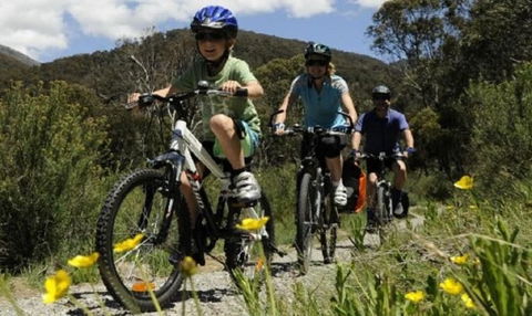 Poley Cow Studio - Kalgoorlie Accommodation 4