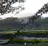 Jasmine's Cottage - Kalgoorlie Accommodation