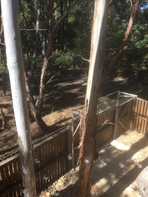 Tangles - Kalgoorlie Accommodation 6