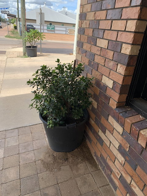 Central Motel - Kalgoorlie Accommodation 0