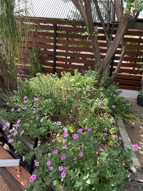 Central Motel - Kalgoorlie Accommodation 3