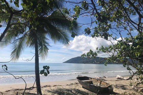 Daintree Rainforest Beach House - Kalgoorlie Accommodation 4