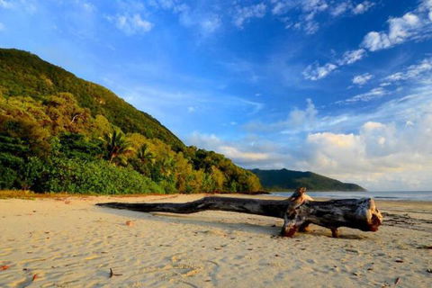 Daintree Rainforest Beach House - Kalgoorlie Accommodation 7