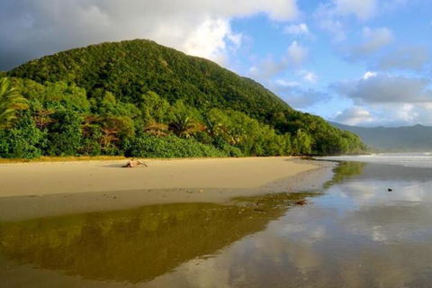 Daintree Rainforest Beach House - Kalgoorlie Accommodation 5
