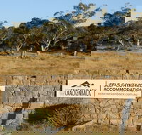 Ecocrackenback 9 'Sustainable chalet close to the slopes.' - Kalgoorlie Accommodation