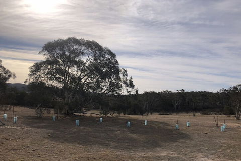The Saddle Camp Tiny House Braidwood - Kalgoorlie Accommodation 2