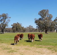Jindera Park - Kalgoorlie Accommodation