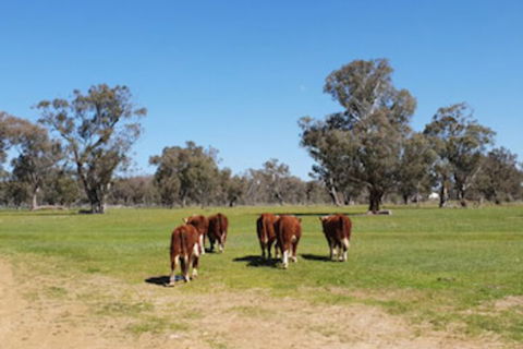 Jindera Park - Kalgoorlie Accommodation 0