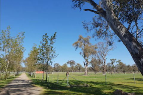 Jindera Park - Kalgoorlie Accommodation 1