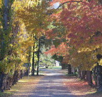 Wombeyan Caves - Kalgoorlie Accommodation